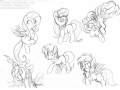 my_little_pony_free_sketches_2_by_stepandy-d5stil6.png
